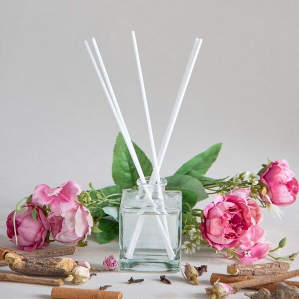 baytonia_main product photo