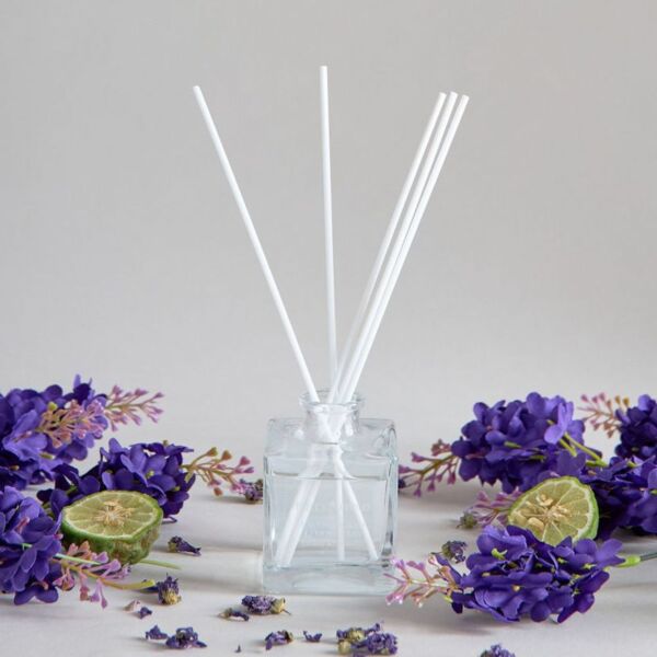 baytonia_main product photo