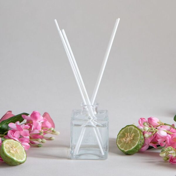 baytonia_main product photo