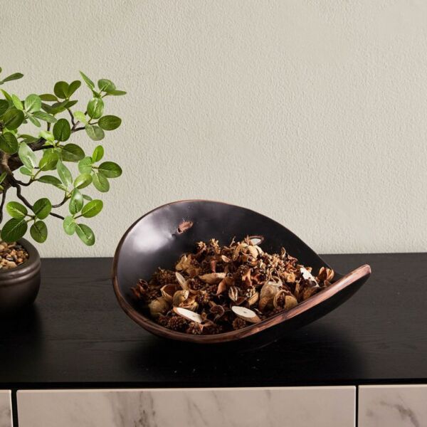 baytonia_main product photo