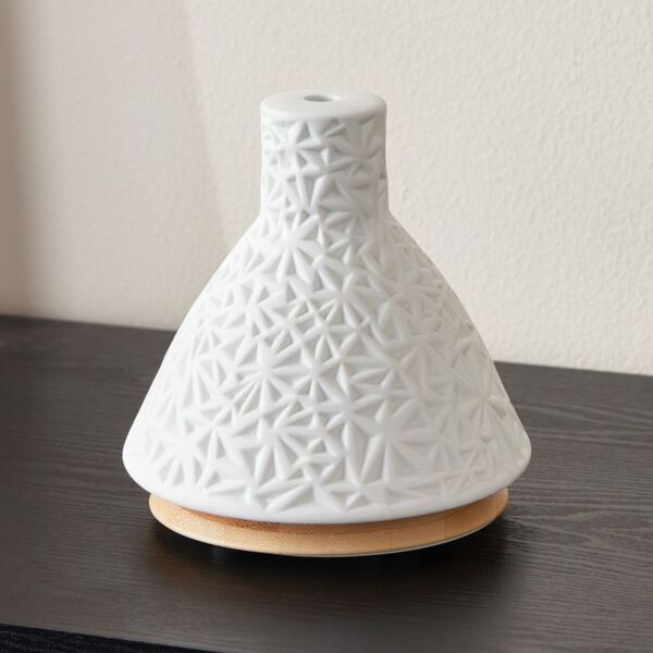 baytonia_main product photo