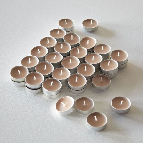 baytonia_main product photo