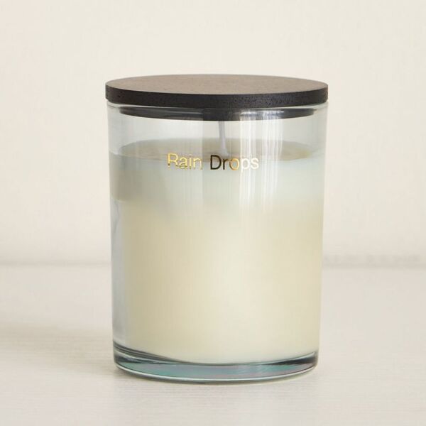 baytonia_main product photo