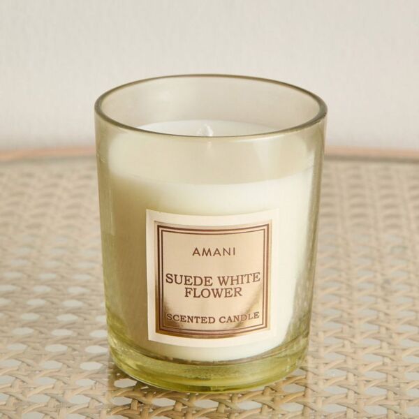 baytonia_main product photo