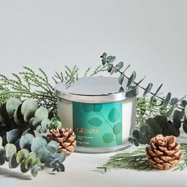 baytonia_main product photo