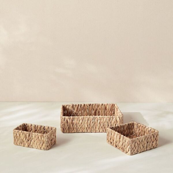 baytonia_main product photo