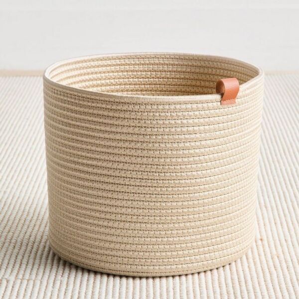 baytonia_main product photo