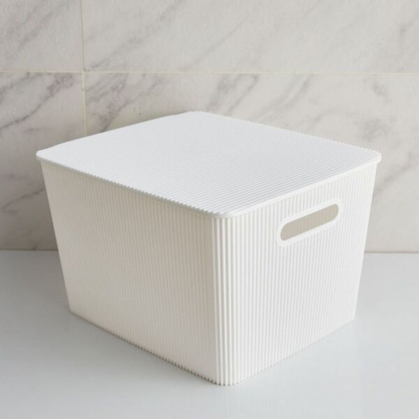 baytonia_main product photo