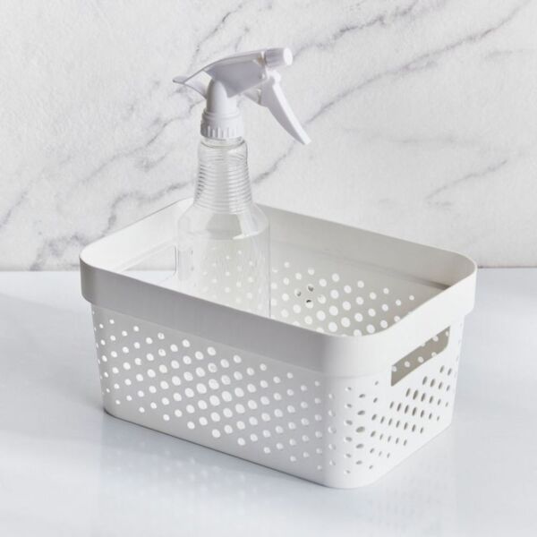 baytonia_main product photo
