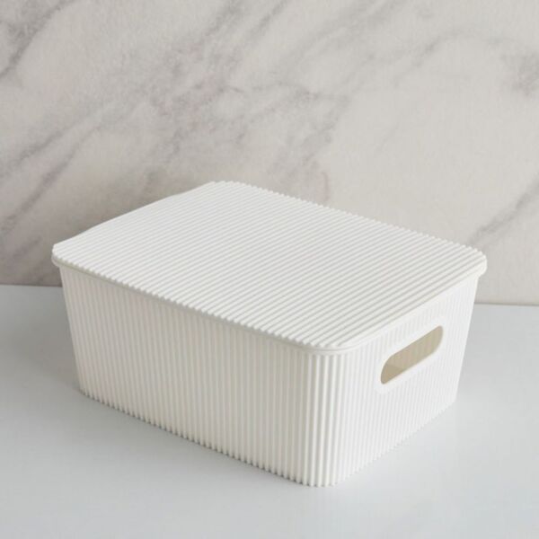 baytonia_main product photo