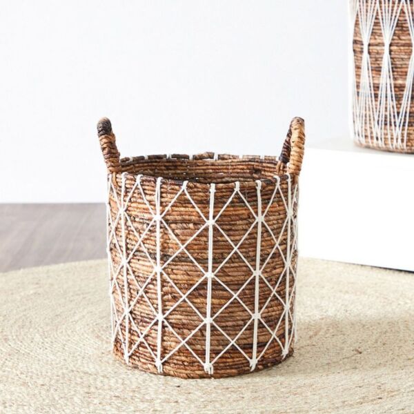 baytonia_main product photo
