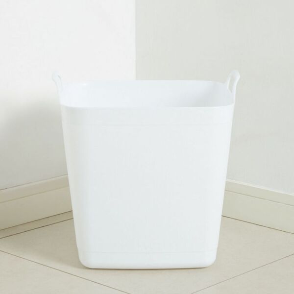 baytonia_main product photo