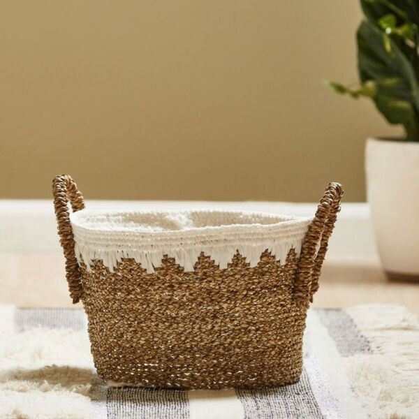 baytonia_main product photo