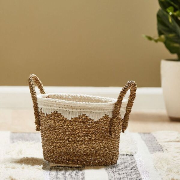 baytonia_main product photo