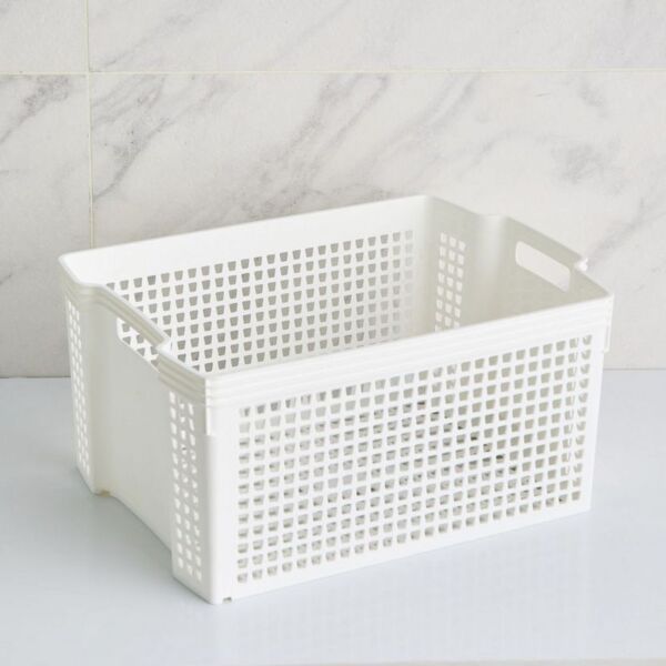 baytonia_main product photo