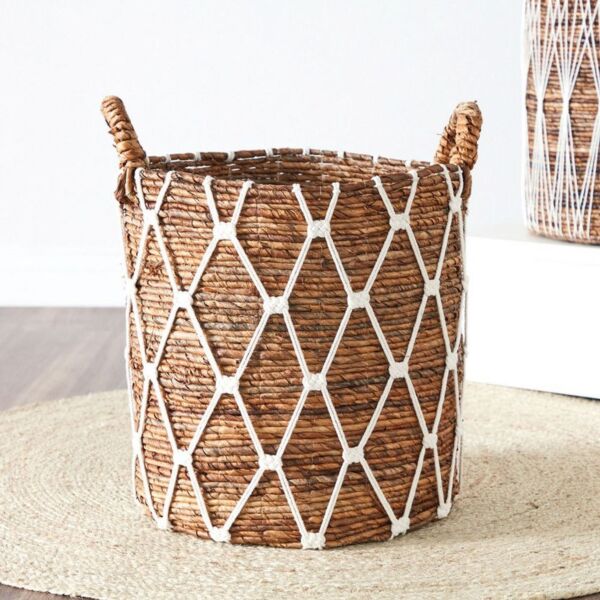 baytonia_main product photo