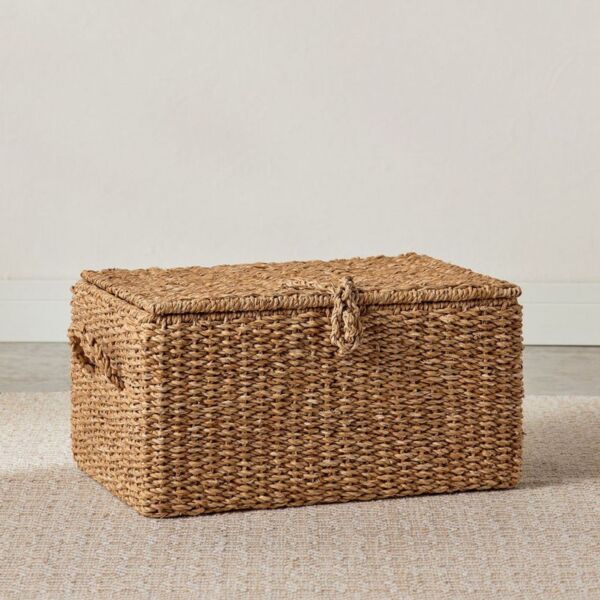 baytonia_main product photo