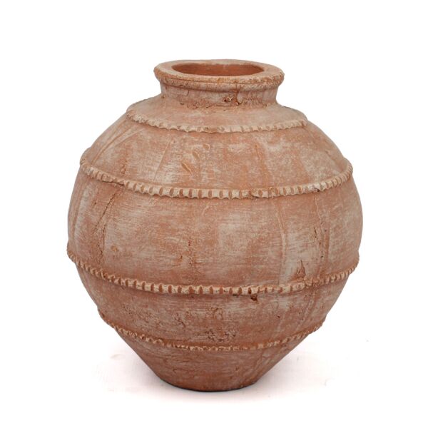 baytonia_main product photo