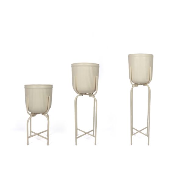 baytonia_main product photo