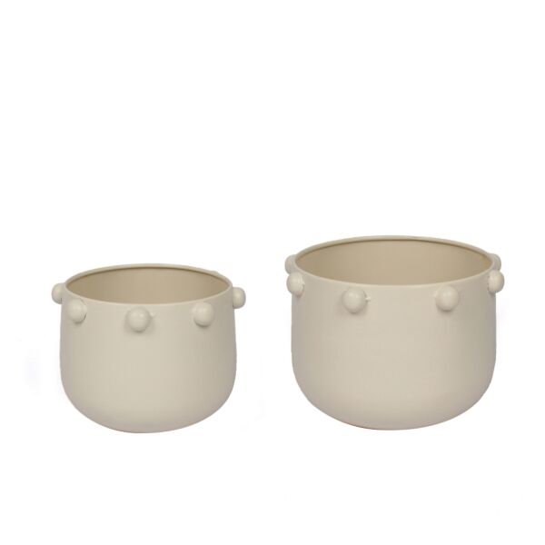 baytonia_main product photo