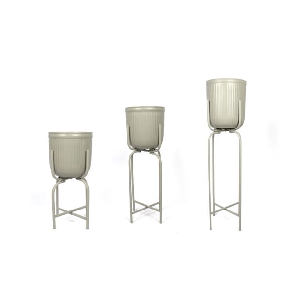 baytonia_main product photo