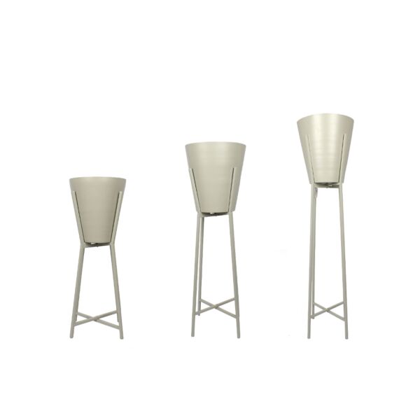 baytonia_main product photo