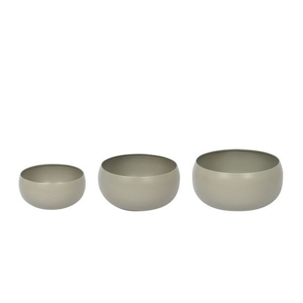 baytonia_main product photo