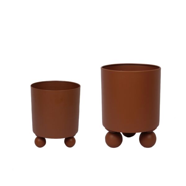 baytonia_main product photo