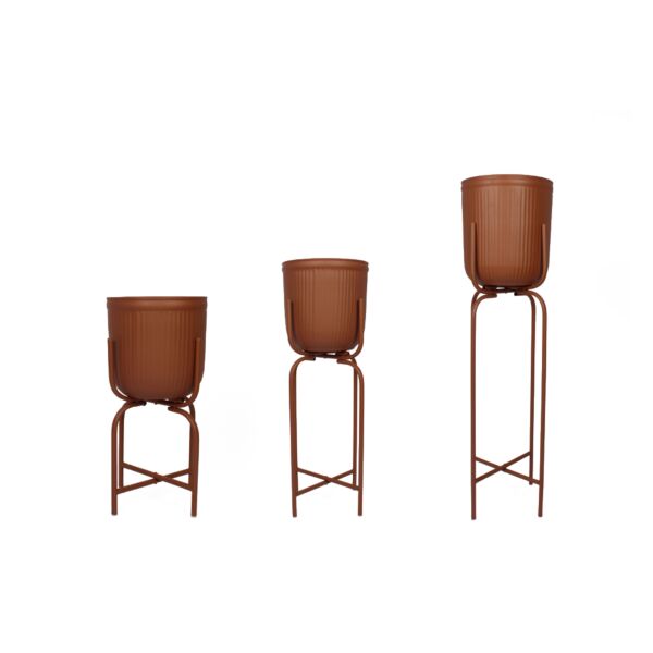 baytonia_main product photo