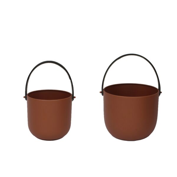 baytonia_main product photo