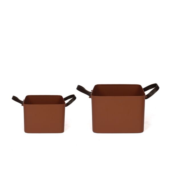 baytonia_main product photo
