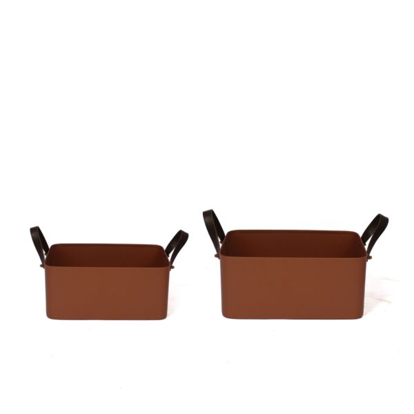baytonia_main product photo