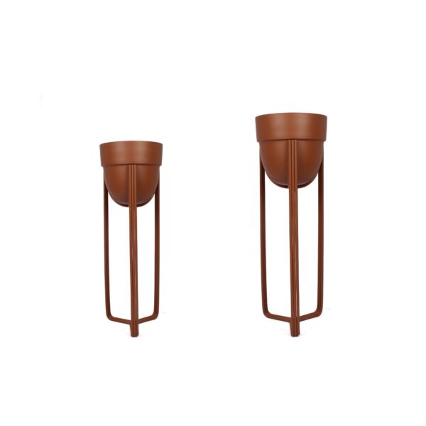 baytonia_main product photo