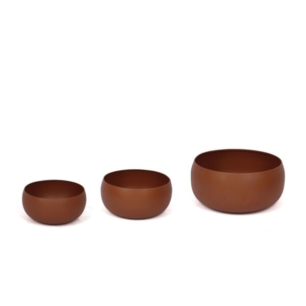 baytonia_main product photo