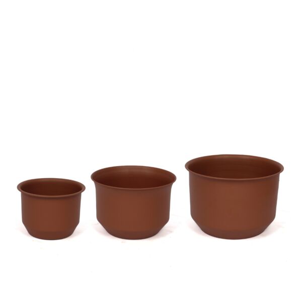baytonia_main product photo