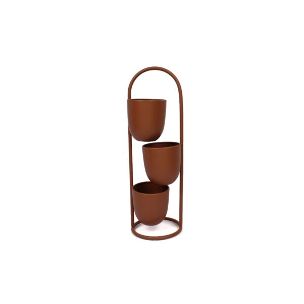 baytonia_main product photo