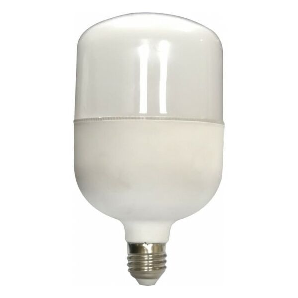 baytonia_main product photo