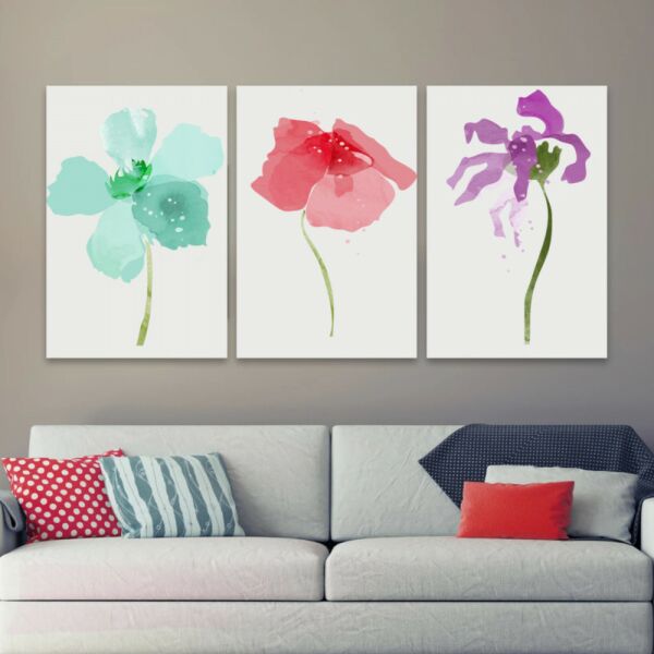 baytonia_main product photo