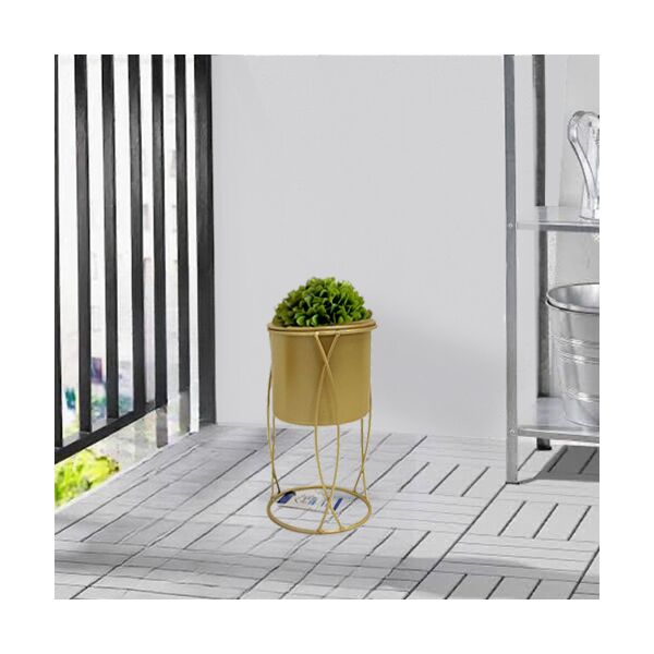 baytonia_main product photo