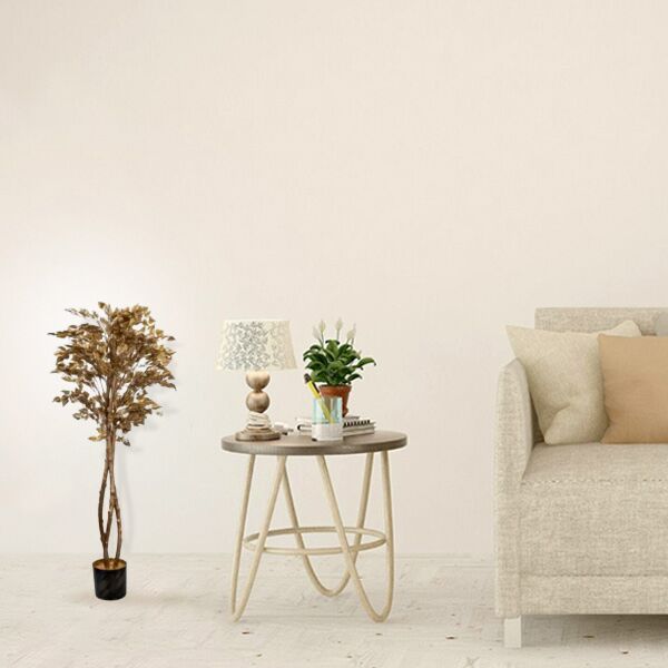 baytonia_main product photo