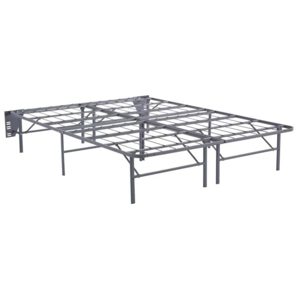 baytonia_main product photo