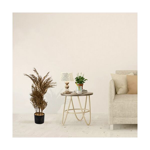 baytonia_main product photo