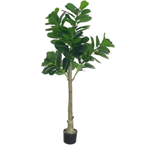 baytonia_main product photo