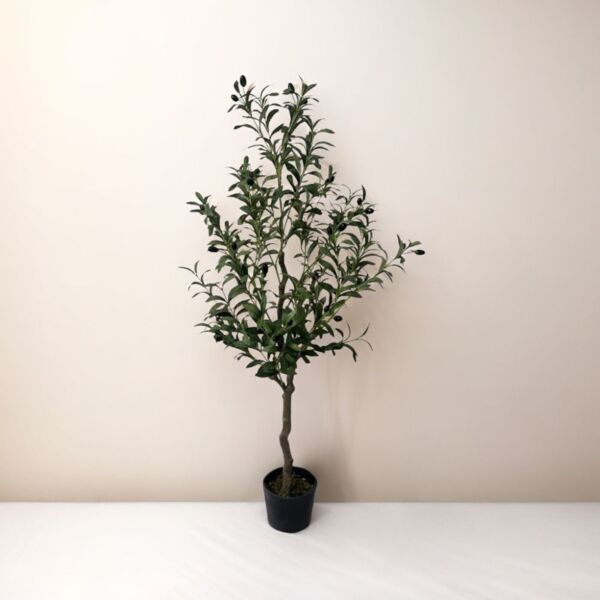 baytonia_main product photo