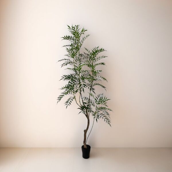 baytonia_main product photo