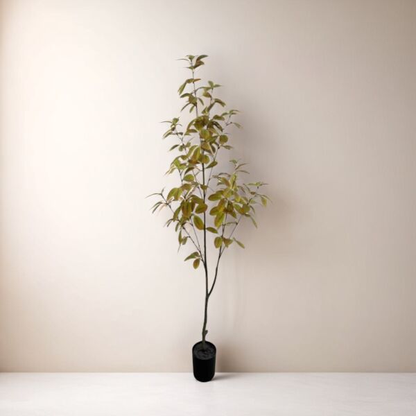 baytonia_main product photo