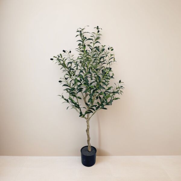 baytonia_main product photo