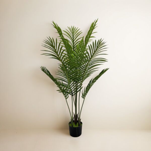 baytonia_main product photo