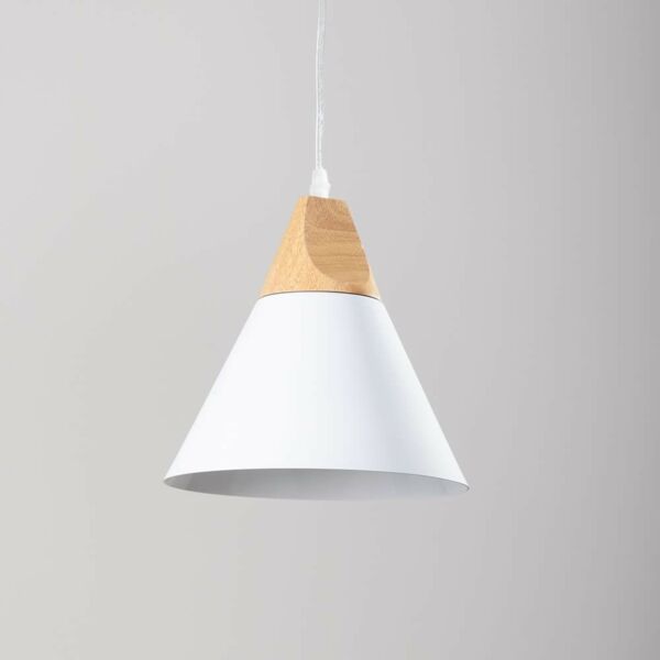 baytonia_main product photo