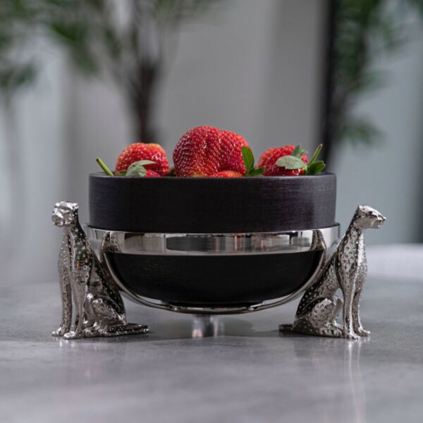 baytonia_main product photo